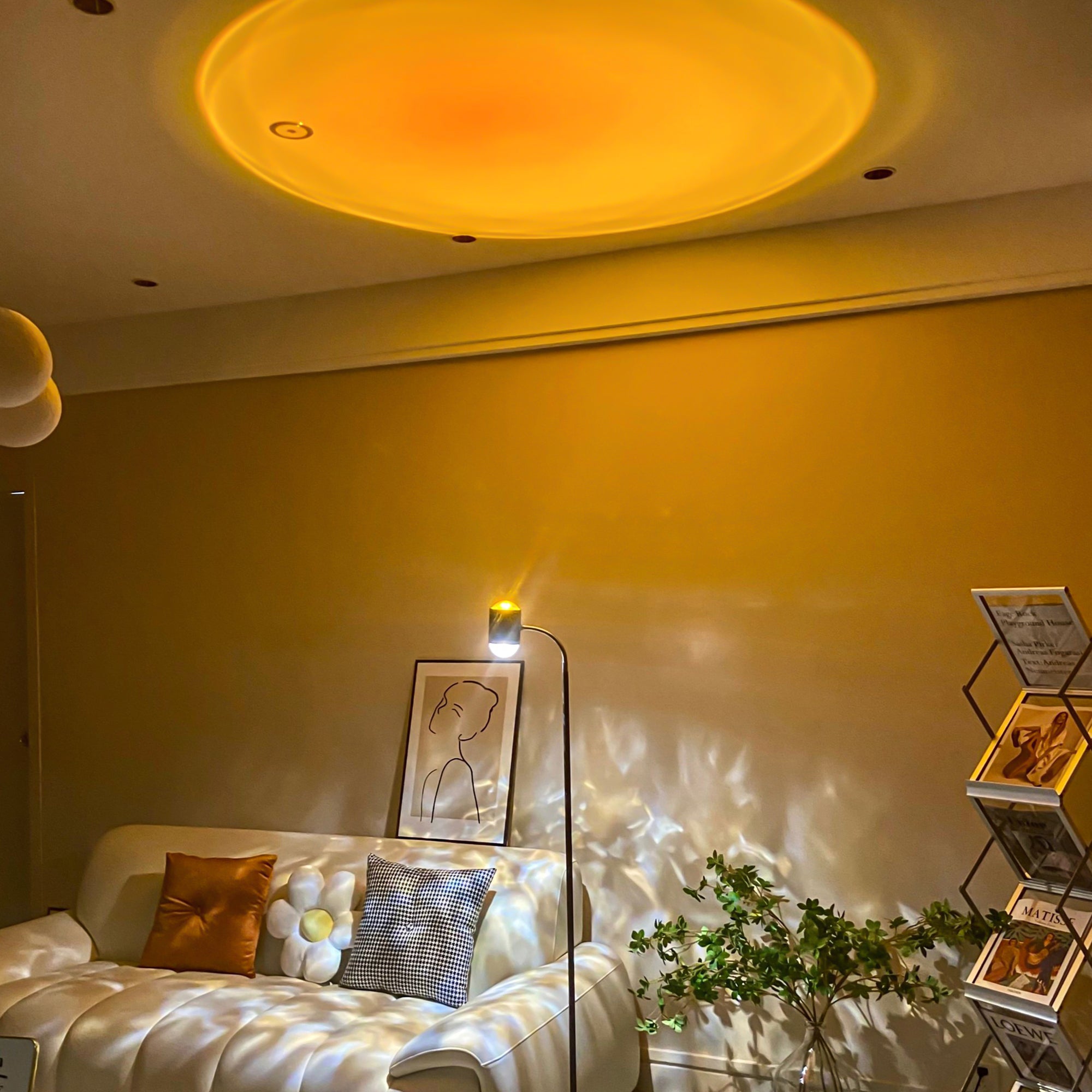 Dual Head Projection Floor Lamp-3